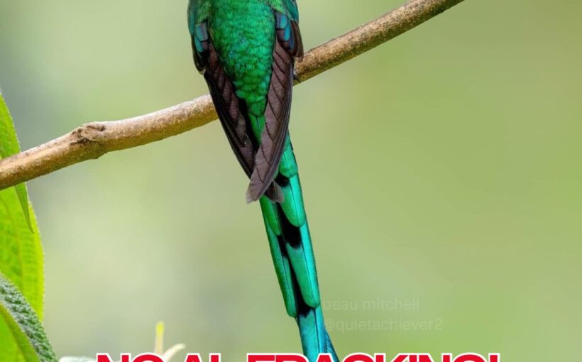 ¡No Al Fracking!