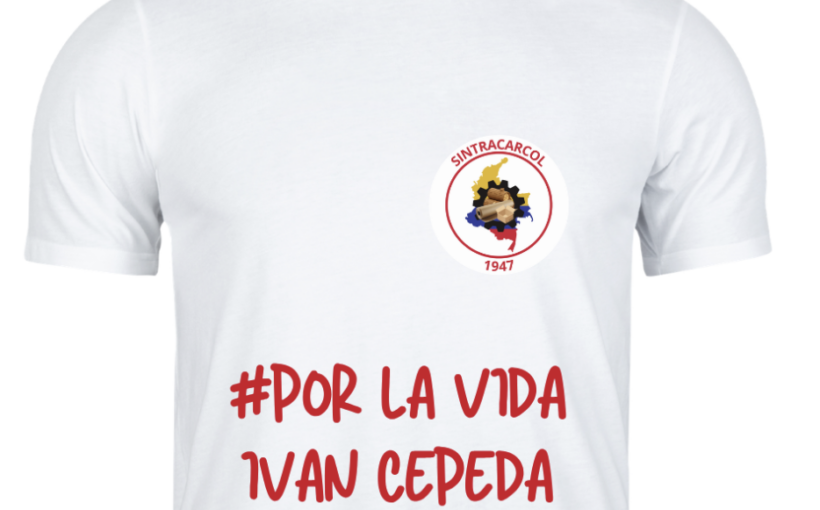 LLego la hora de ponerte la camiseta!
